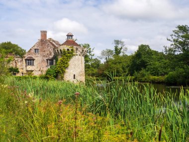 Tunbridge Wells, UK - Saturday 20th July 2024: Scotney Castle gardens with wild flowers and reeds along the lake side. High quality photo clipart