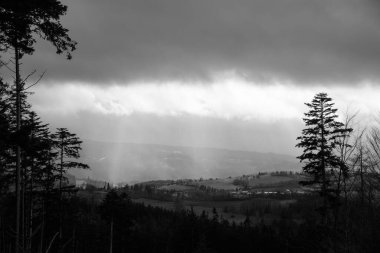 Bir numaralı kasperk. Yüksek kalite fotoğraf
