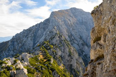 Alpler bir. Yüksek kalite fotoğraf