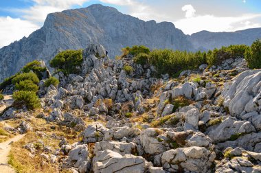 Alpler bir. Yüksek kalite fotoğraf