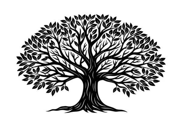 Träd Med Löv Vektor — Stock vektor