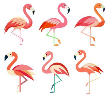 Şirin flamingo seti. düz çizgi film vektör çizimi. beyaz arkaplanda izole
