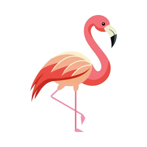 Kırmızı flamingolu pembe kuş, beyaz arkaplanda izole edilmiş çizgi film stili vektör çizimi.