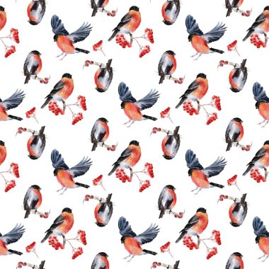 Kusursuz desenli suluboya kuşlar ispinoz yaprakları ve beyaz arka planda viburnum meyveleri.