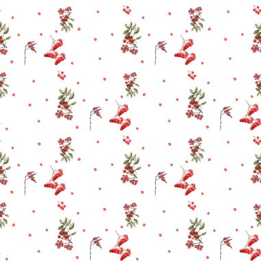 Kusursuz desenli suluboya böğürtlen ve yapraklar Rowan klasik tasarımı beyaz arka planda kırmızı ve yeşil