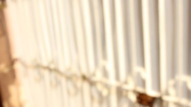 Ahşap çitin arka planı bulanık