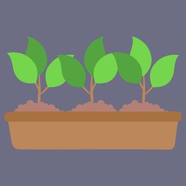 çömlek simgesinde bitki, düz stil