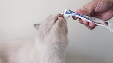 Genç ve sevimli bir bez bebeğe sıvı takviyesi yapmak.