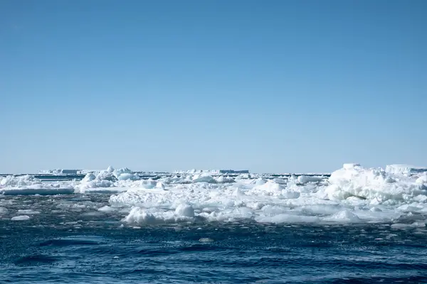 Ledovce Různých Tvarů Tající Weddellově Moři Během Antarktického Léta — Stock fotografie