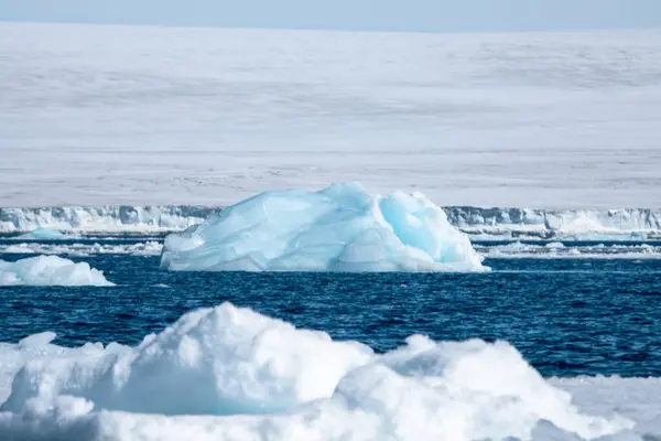 美丽的蓝色圆顶状冰山漂浮在南极洲的威德尔海中 — 图库照片