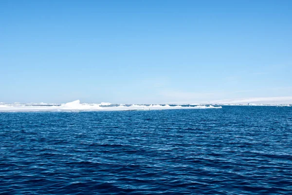 Sea Meets Ice Antarctica — Stock Photo, Image