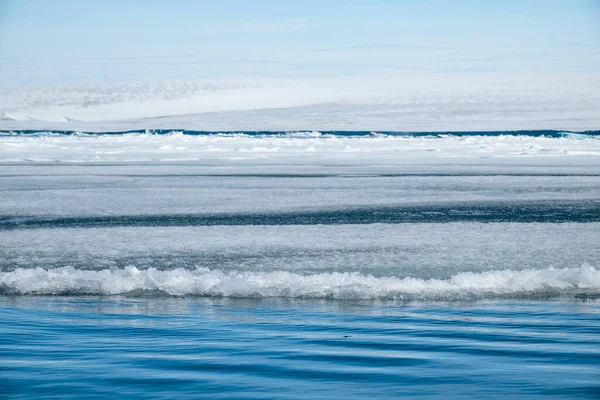 Antarktisches Eis Schmilzt Sommer — Stockfoto