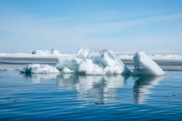 スノーヒル島 南極半島 南極に近いウェッデル海に浮かび溶ける美しい氷の形成 — ストック写真