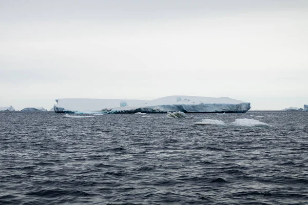 Nce Tablolu Buzdağı Denizde Buz Akıntıları Boyunca Sürükleniyor — Stok fotoğraf