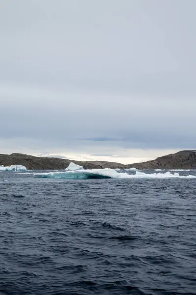 Antarktika Daki Adanın Önünde Buzdağları Eriyor — Stok fotoğraf