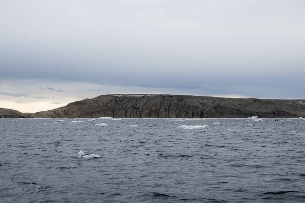 Marambio Island Graham Land Antarktický Poloostrov Antarktida — Stock fotografie