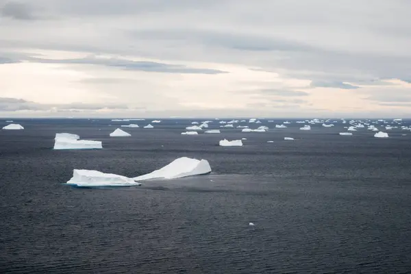 Εναέρια Λήψη Του Τοπίου Της Ανταρκτικής Παρασυρόμενα Παγόβουνα Διαφορετικών Σχημάτων — Φωτογραφία Αρχείου