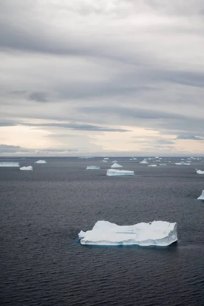 Κάθετη Εναέρια Λήψη Του Τοπίου Της Ανταρκτικής Παρασυρόμενα Παγόβουνα Διαφορετικών — Φωτογραφία Αρχείου
