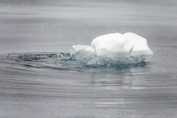Primer Plano Pequeño Témpano Hielo Que Derrite Aguas Antárticas — Foto de Stock
