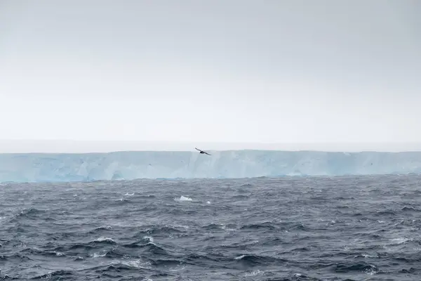 Världens Största Isberg A23A Scotiahavet Mellan Antarktis Och Sydshetlandsöarna — Stockfoto