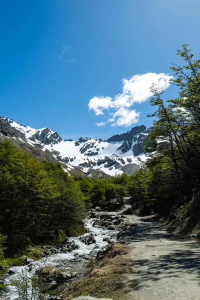 Vandringsled Till Martial Glacier Ushuaia Argentina — Stockfoto