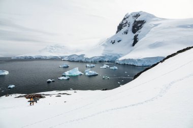 Palaver Point, Antarktika Yarımadası - 14 Aralık 2023 - Quark Gezileri, Palaver Point, İki Hummock Adası, Antarktika 'daki Chinstrap penguen yuvasını keşfeden turistler 