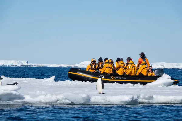 Snow Hill Island Antarctica December 2023 Quark Expeditions Tourists Taking — Stock Photo, Image