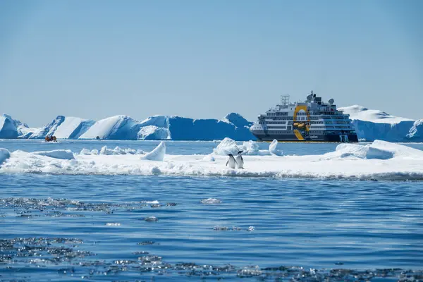 Kar Tepesi Adası Antarktika Aralık 2023 Quark Seferleri Yolcu Gemisi — Stok fotoğraf