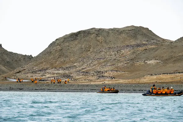 Остров Сеймур Антарктида Декабря 2023 Года Группа Туристов Круиза Кварковых — стоковое фото