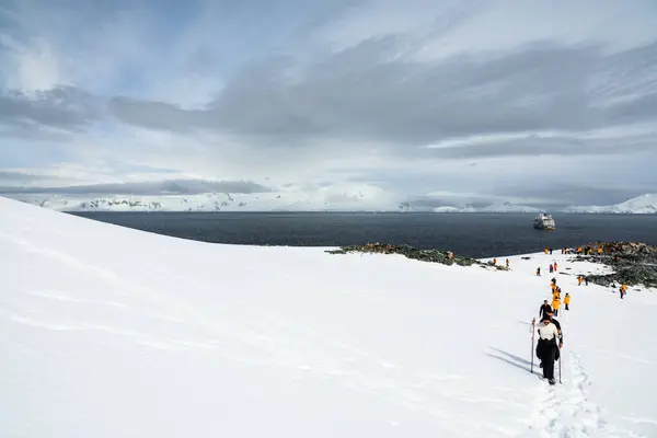 Palaver Point Antarctic Peninsula December 2023 Quark Expeditions Tourists Climbing — Stock Photo, Image