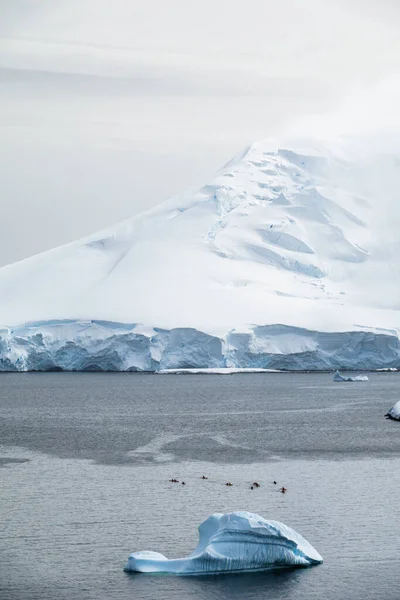 Expedition Turister Kajakpaddling Antarktis — Stockfoto