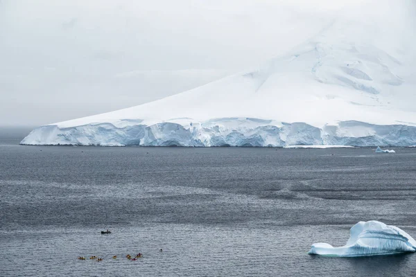 Antarktika Kayak Yapan Turistler — Stok fotoğraf
