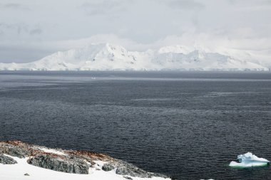Brabant Adası Dağları 'nın panoramik görüntüsü, Palmer Takımadaları, Antarktika