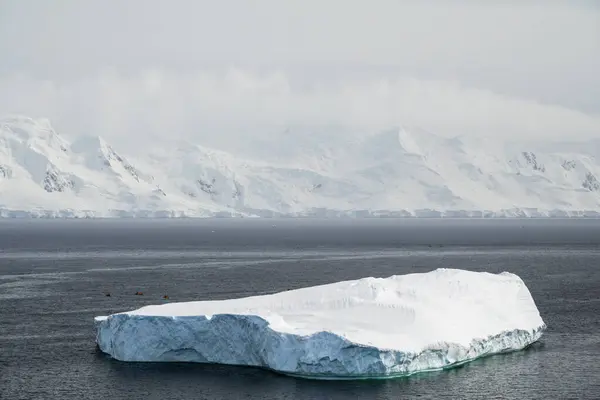 Antarktiskt Landskap Med Stora Isberg Och Snötäckta Berg — Stockfoto