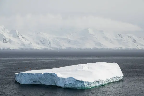 Antarctic Peninsula, Palaver Point. Large iceberg drifting in front of the snowy mountains.