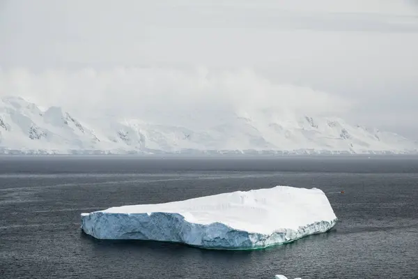 Stora Tabulärt Isberg Vid Stranden Two Hummock Island Antarktis — Stockfoto