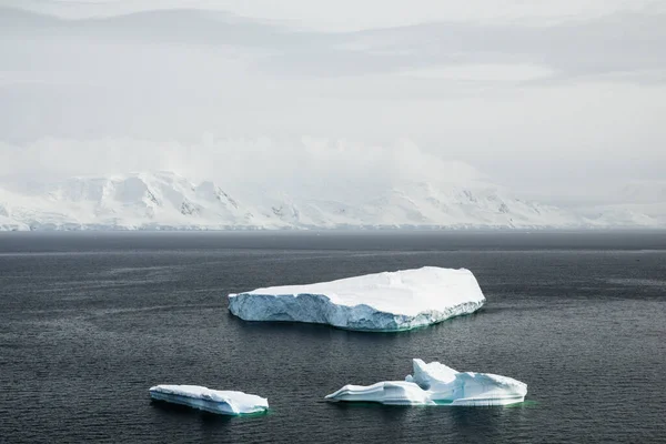 Panoráma Felvétel Jéghegyek Sodródó Két Hummock Sziget Palmer Szigetcsoport Antarktisz — Stock Fotó