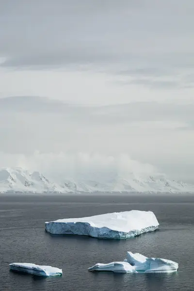 Vertical Shot Three Icebergs Drifting Island Palmer Archipelago Antarctica — Stock Photo, Image