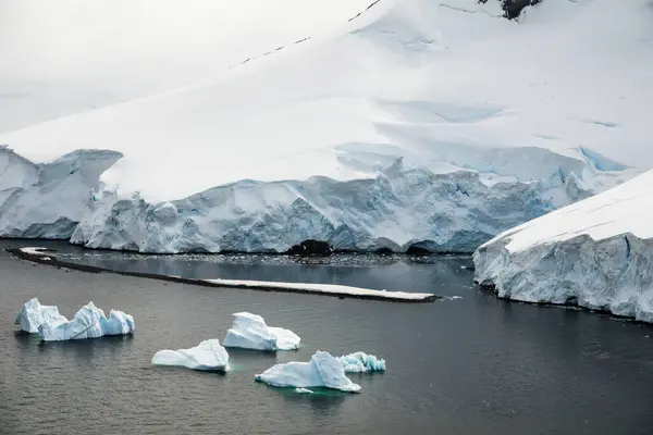 Hummock Adası Kıyılarında Sürüklenen Buzdağlarının Görüntüsü Palmer Takımadası Antarktika — Stok fotoğraf