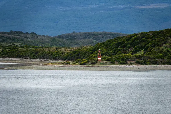 Φάρο Isla Martillo Κανάλι Beagle Αργεντινή — Φωτογραφία Αρχείου