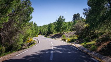 Constantine şehrine giden orman yolu.