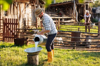 Genç çiftçinin portresi dokunaklı çiftliğinde kutuya süt döküyor. Süt üretimi ve tarım sektörü kavramı. Keçi sütü ürünlerinin endüstriyel üretimi için hayvancılık.