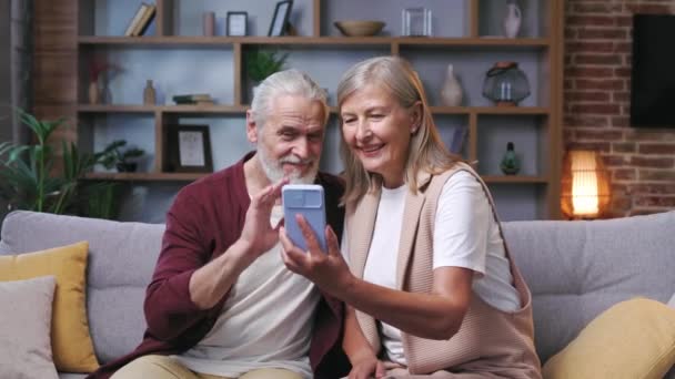 Mature Happy Couple Communicates Online Call Gray Haired Husband Wife — Stock Video