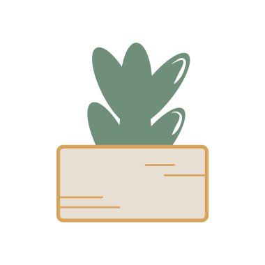 Tencerede ufacık tatlı pastel altın bitkisi. Mutlu kaktüsler, sulu bitkiler, kaktüsler, aloeler. Vektör grafik çizimi izole el çizimi