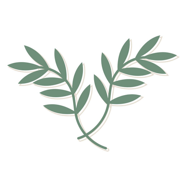 Thin twigs of plants with shadow for quote. Green curly leaves decoration. Abstract leaves and twigs. Hand drawn isolated vector art illustration.