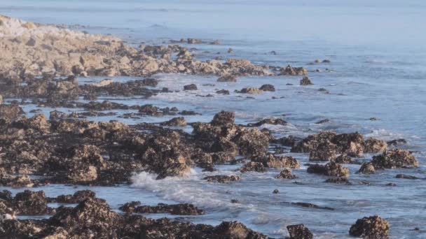 苏塞克斯岛南岸岩石海岸的海浪 — 图库视频影像