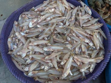 Pazarda satılık bir balık yığını.