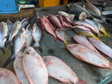Pazarda satılık bir balık yığını.