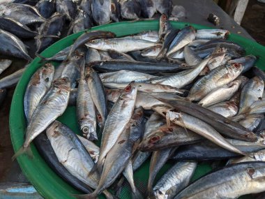 Pazarda satılık bir balık yığını.