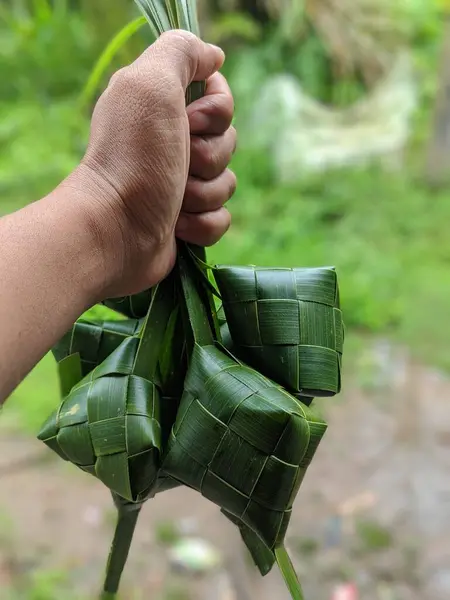 Genç hindistan cevizi yapraklarından yapılmış ketupat tavuğu.